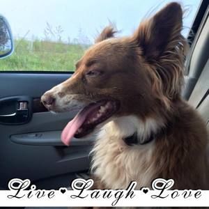 Meet your Posher, Ellen